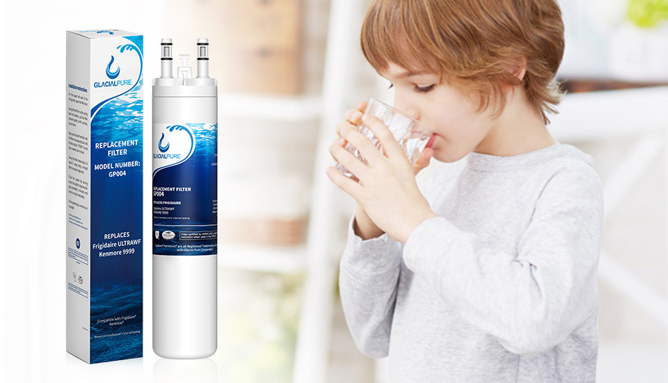 Kenmore 46-9999 Replacement Water Filter